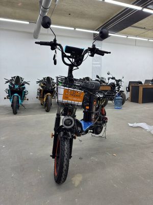 Аренда электровелосипеда Drongo Monster