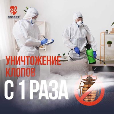 Унижтожение клопов и тараканов с ОДНОГО РАЗА