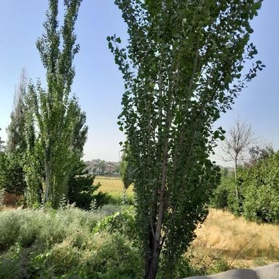 Uyning yarim bo'sh yeri sotiladi