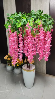 декоративные дерево