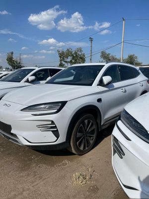 2025 Smart Champion BYD
