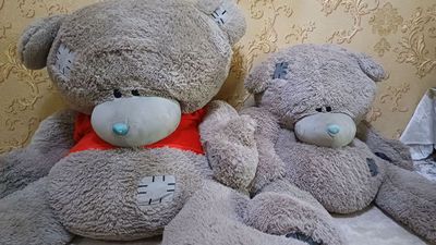 Teddy bear