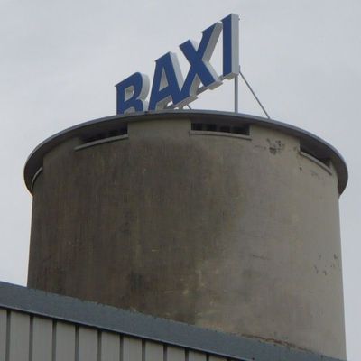 Профессиональный ремонт газовых котлов BAXI