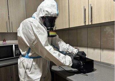 Dezinfeksiya Дезинфекция Тараканов Клещи Блохи Клопы Запах туман