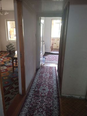Sebzor arenda bollar uchun