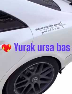 Yurak ursa bas 1 dona oq va qora rangda