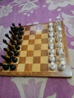 Шахматы СССР ( большие )