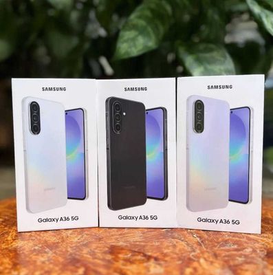 Новый Samsung A 36 5G 8/128gb | Optom narx | Dostavka bor