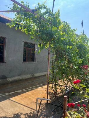 Juda tez va arzon DALA HOVLI UCHASTKA 52000