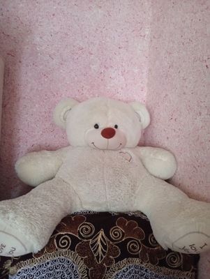 Ayiqcha sotiladi