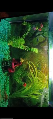 Akvarium sotiladi