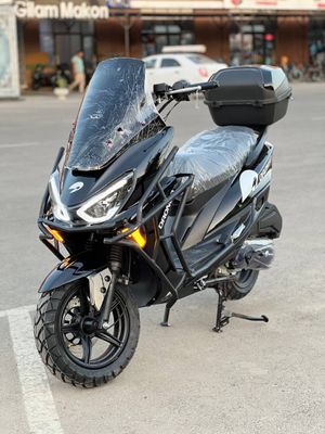 Drongo Tiger pro max
