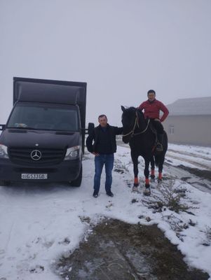 Mers Sprinter holadi zor peregon kegan