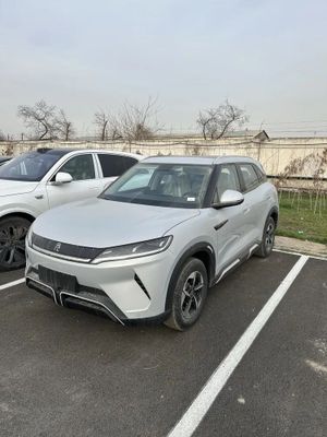 Byd Yuan Up хамма позициялари 2025