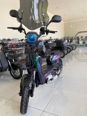 Chontak 16 model