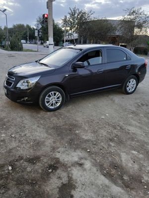 Кобалт автамат чоко цвет