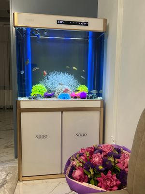 продается аквариум срочно 200 литровый акриловый