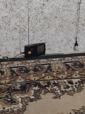 1 yil Life Network Sistem