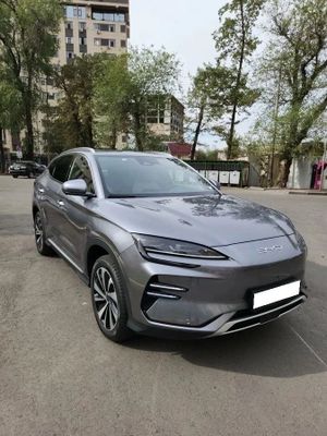 Byd chempion 2025kuzov retayling