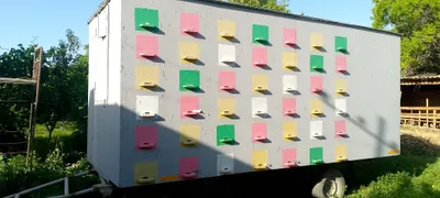 Прицеп павильон,пчелы