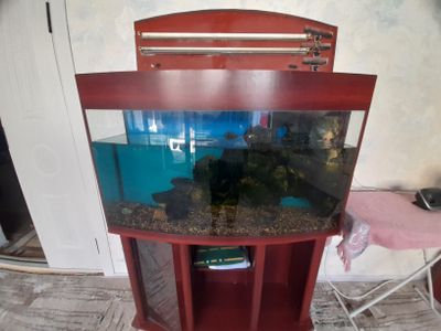 Аквариум для рыб