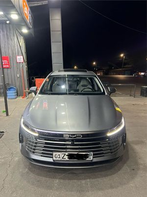 Byd chazor 120 tali