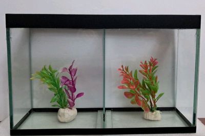 Akvarium sotiladi 2ga bo'linadigan
