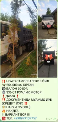 HOWO самасвал 2013 йил 250 000 км юрган БАЛОН 60-80% 336 от кучлик