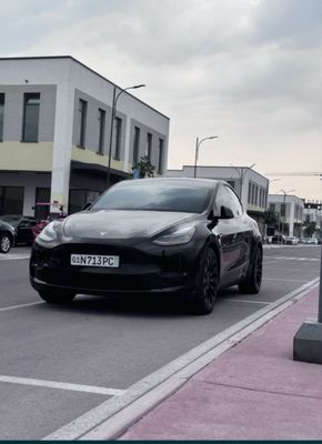 Tesla dual mator