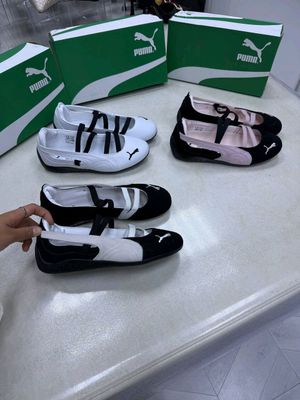 Lux Puma