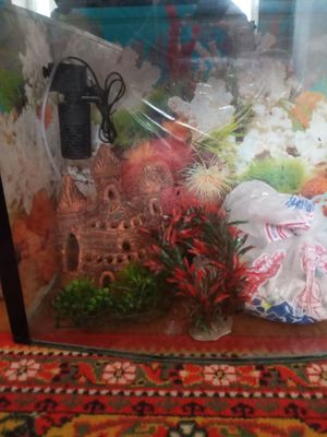 Akvarium 90 litr yaxshi