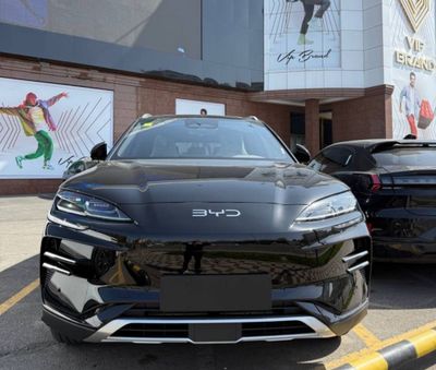 Byd champion 2025 smart drive
