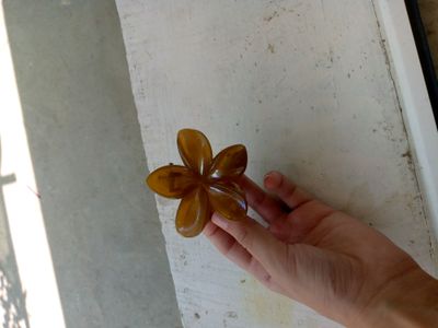 omoqchi bo'zela telegramga yozinglar