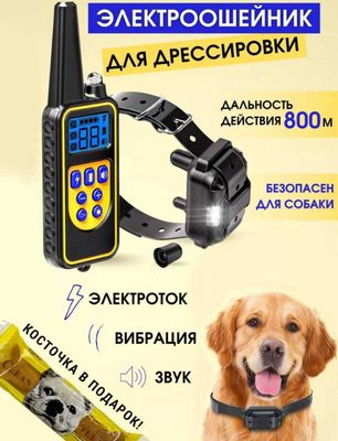 Электроошейник для дрессировки