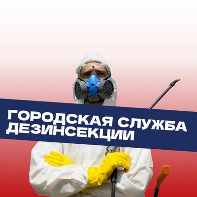 Dezinfeksiya Xizmati 100% Дезинфекция