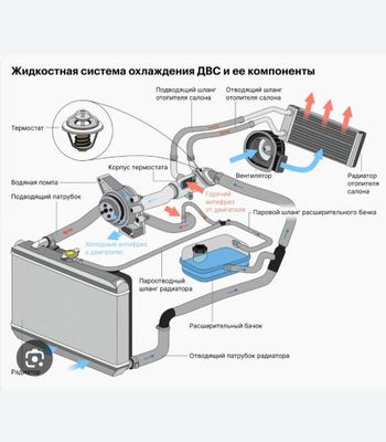 Антифериз алмаштириш ва сестима апаратда сифатли ювуш хизмати бор