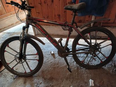 Velosiped gonchik