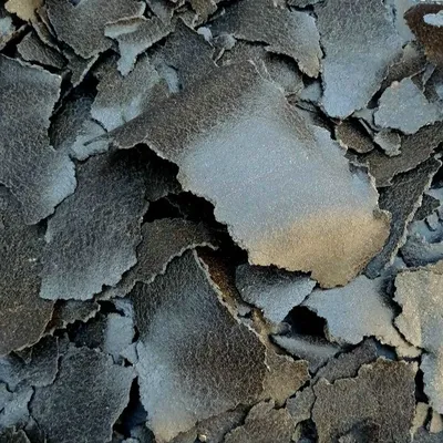 Qora semichka kunjarasi