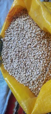 ловиа сотман