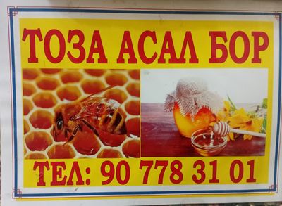 Toza asal