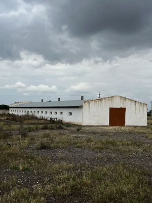 Продам ферма на 1 гектаре земли в Бекабадском районе.