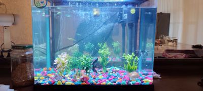 Akvarium 45lt. .