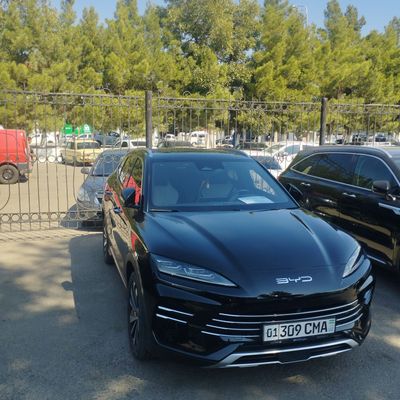 BYD HYBIRD holati idial kraska toza