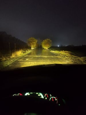 Туманки с Bi-led для джентры