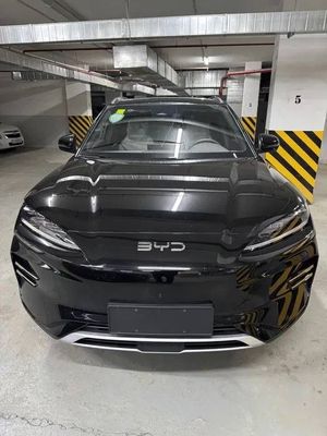 Byd e chempion 2024