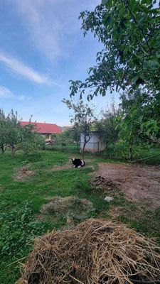 Чарвак,Юсуфхона, Продаётся участок 6 соток