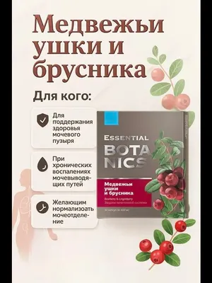 Медвежьи ушки и брусника - Essential Botanics