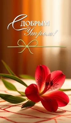 экспресс курс по фортепиано(пианино)