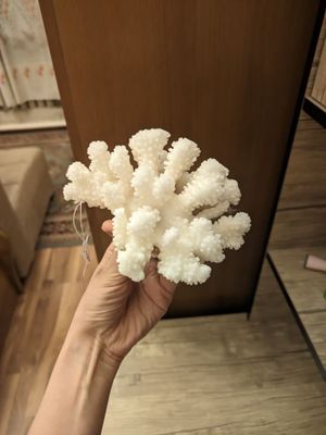 Коралл натуральный