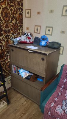 Продаю камодный-шкаф-кровать!